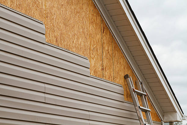 Affordable siding repair and maintenance services in Ocean Springs, MS